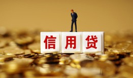 成都私人哪有个人借贷-成都私人小额贷款公司-成都私人私借空放免费上门