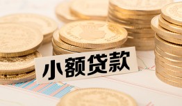 成都私人身份证贷款平台-成都私人私人借贷不查征信-成都私人空放借钱